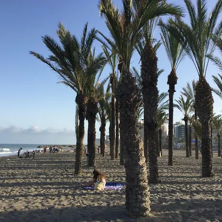 Daire Apartamento Cerca De La Playa Y Campo De Golf Con Piscina *